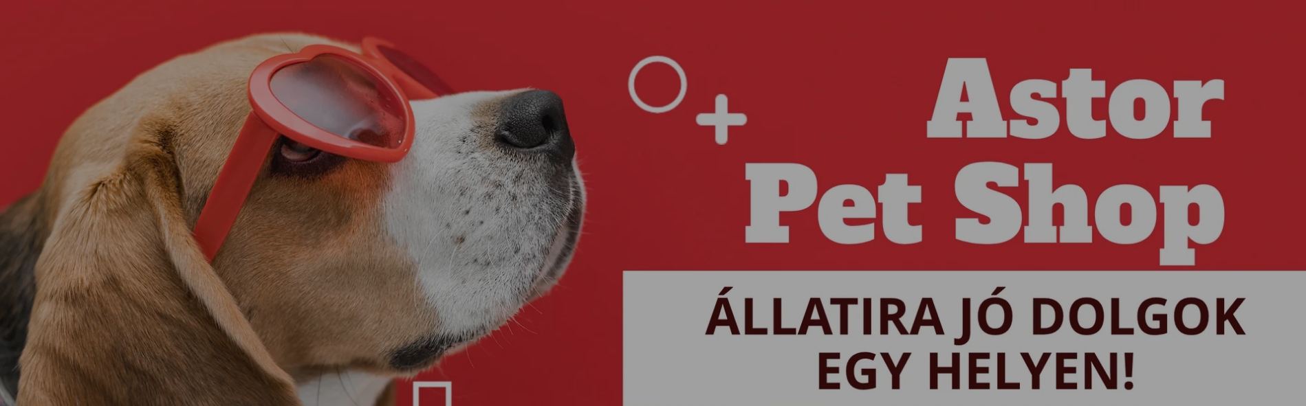 Astor Pet Shop